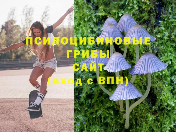 стаф Армянск